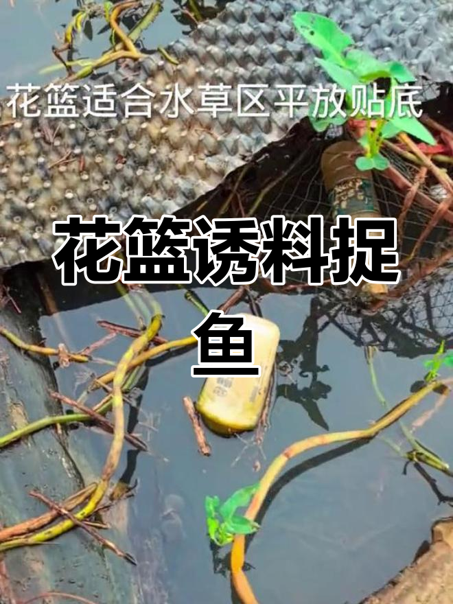 捕鱼技巧(鱼塘捕鱼技巧)